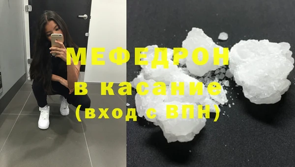 прущие грибы Богданович