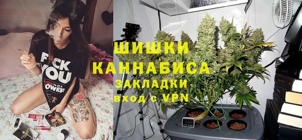 прущие грибы Богданович