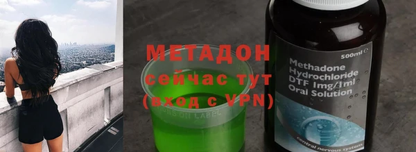 прущие грибы Богданович