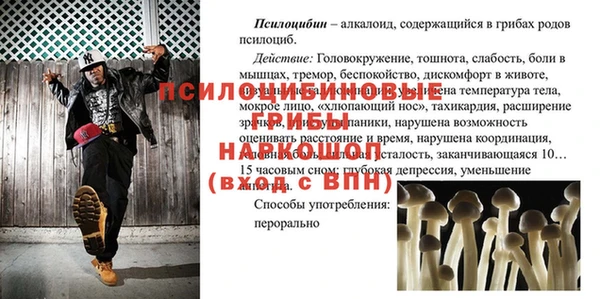 прущие грибы Богданович