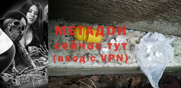 прущие грибы Богданович