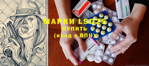 прущие грибы Богданович