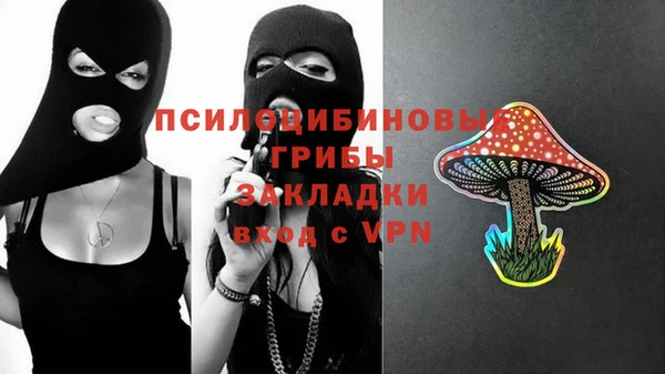 а пвп мука Богородицк