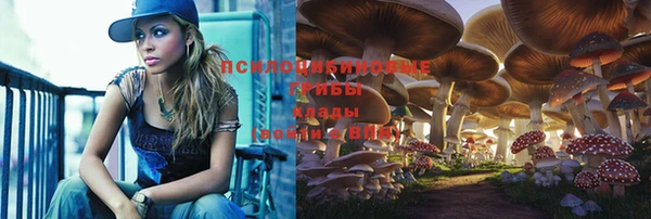 а пвп мука Богородицк